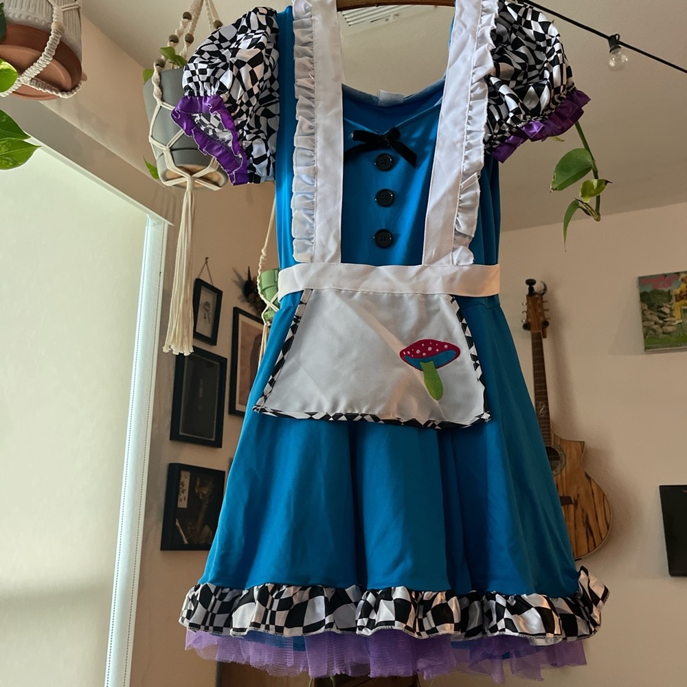 Alice in Wonderland Costume
